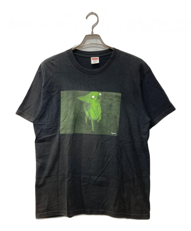 中古・古着通販】SUPREME (シュプリーム) Chris Cunningham Chihuahua