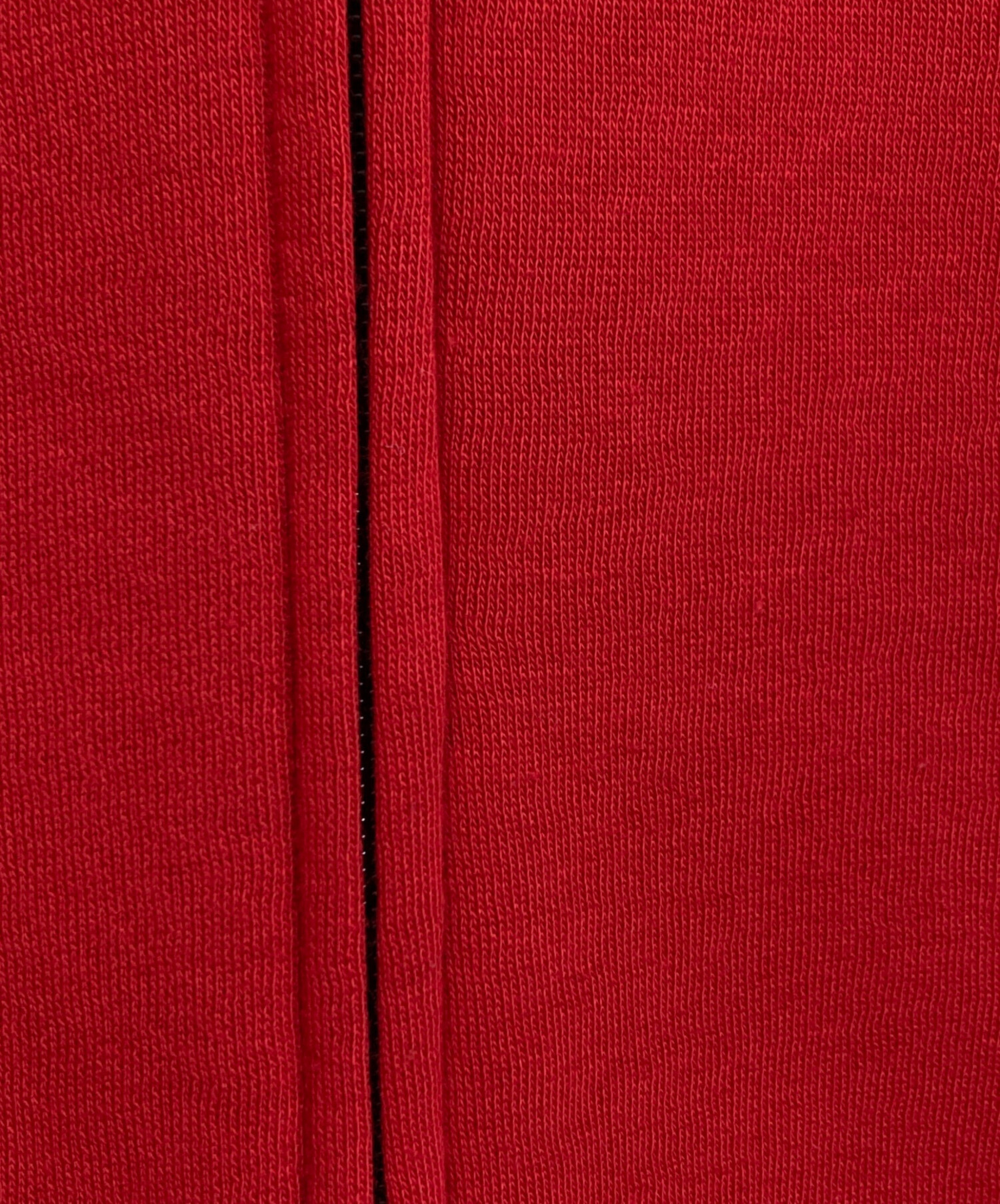 中古・古着通販】POLO RALPH LAUREN (ポロ・ラルフローレン) ビッグ