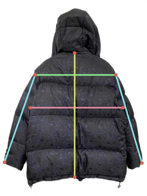 中古・古着通販】ETRO (エトロ) ポリアミドペイズリー柄ダウン