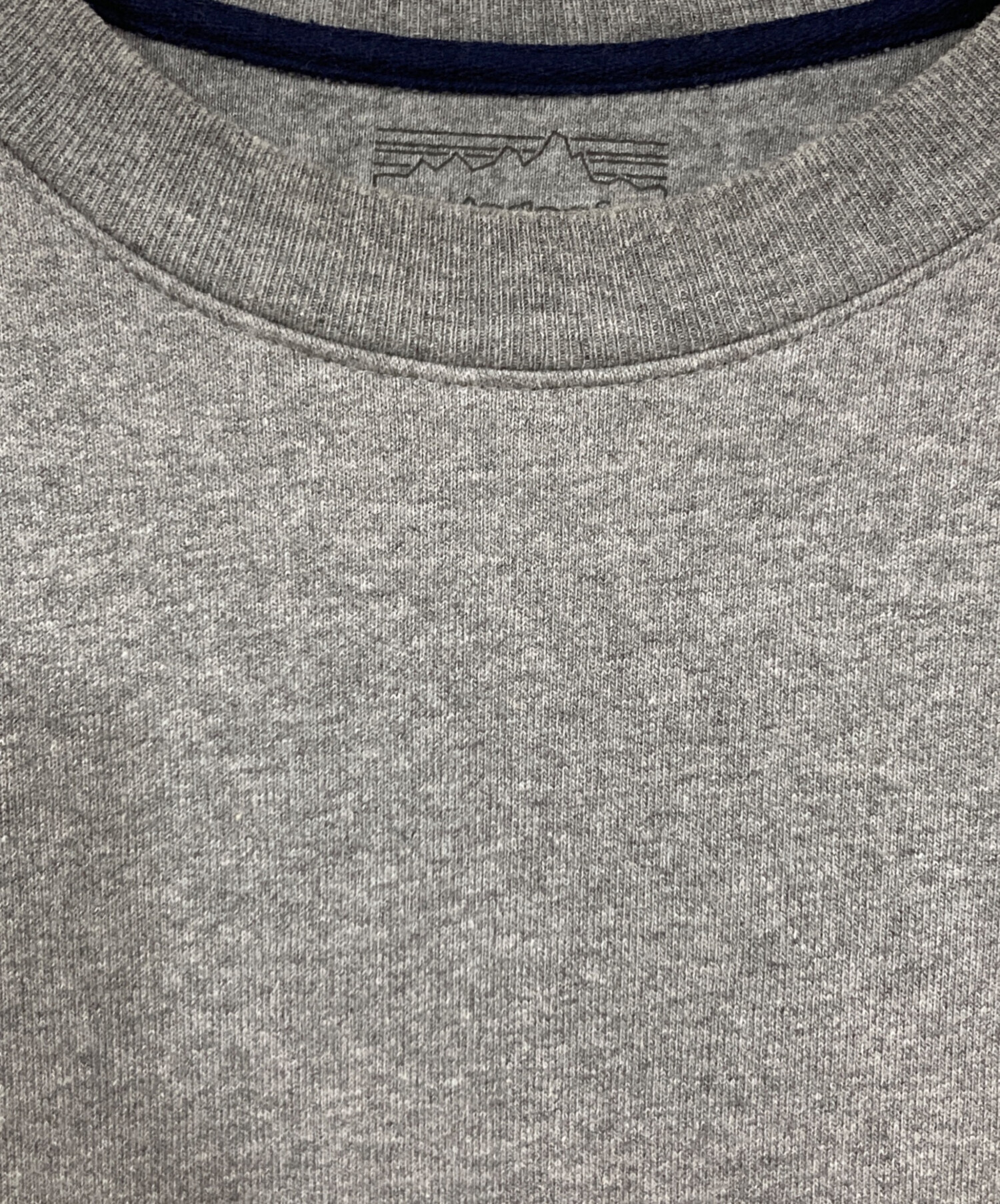 中古・古着通販】Patagonia (パタゴニア) フィッツロイ・アイコン 
