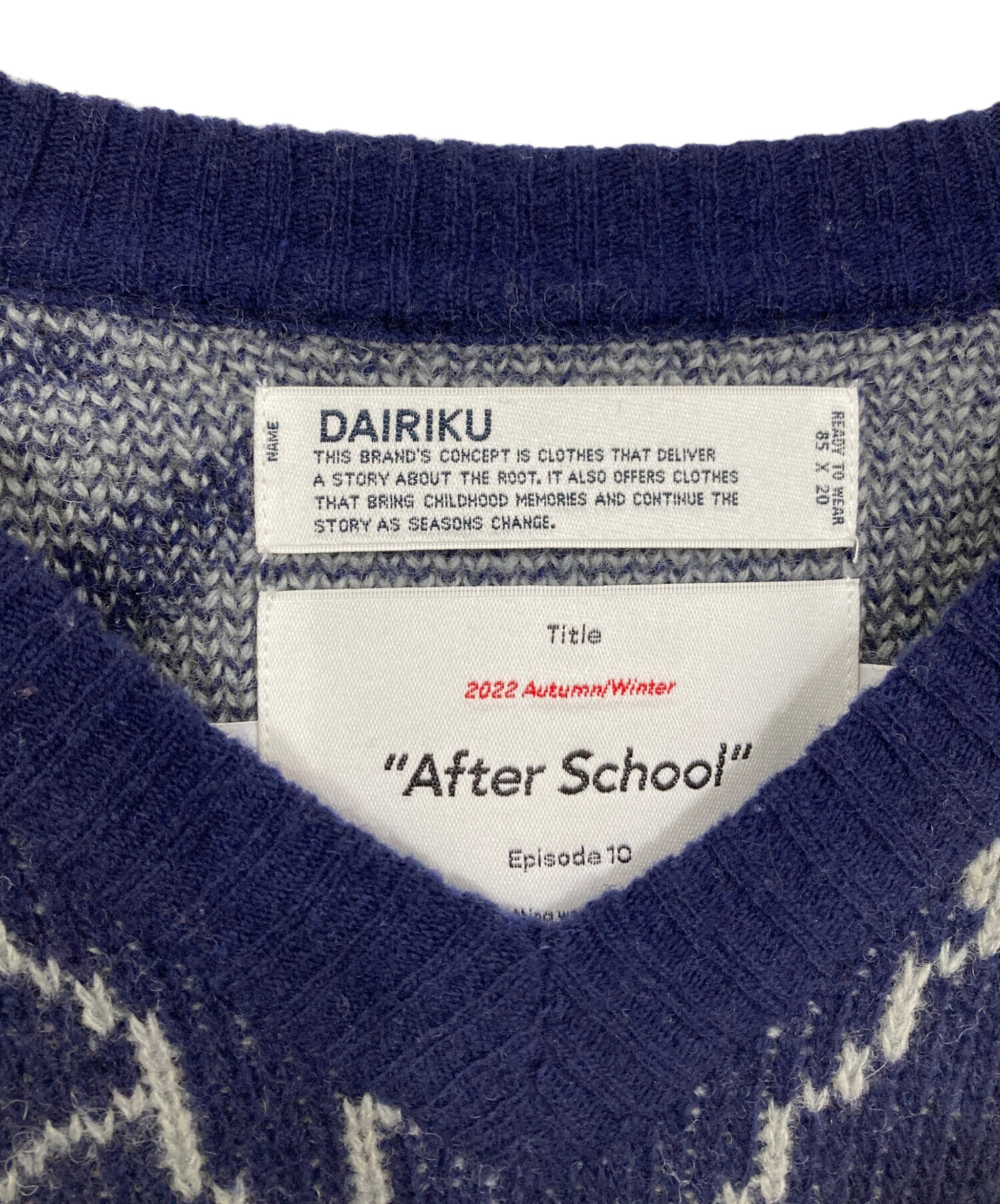中古・古着通販】DAIRIKU (ダイリク) パンサーデザインVネック 中古・古着通販】DAIRIKU (ダイリク) パンサーデザインVネック