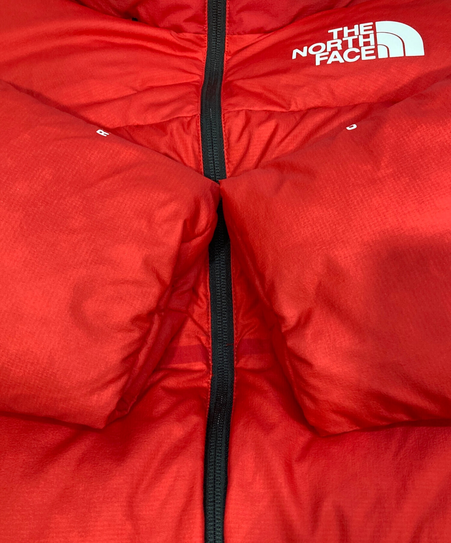 中古・古着通販】THE NORTH FACE (ザ ノース フェイス) Rmst Nuptse