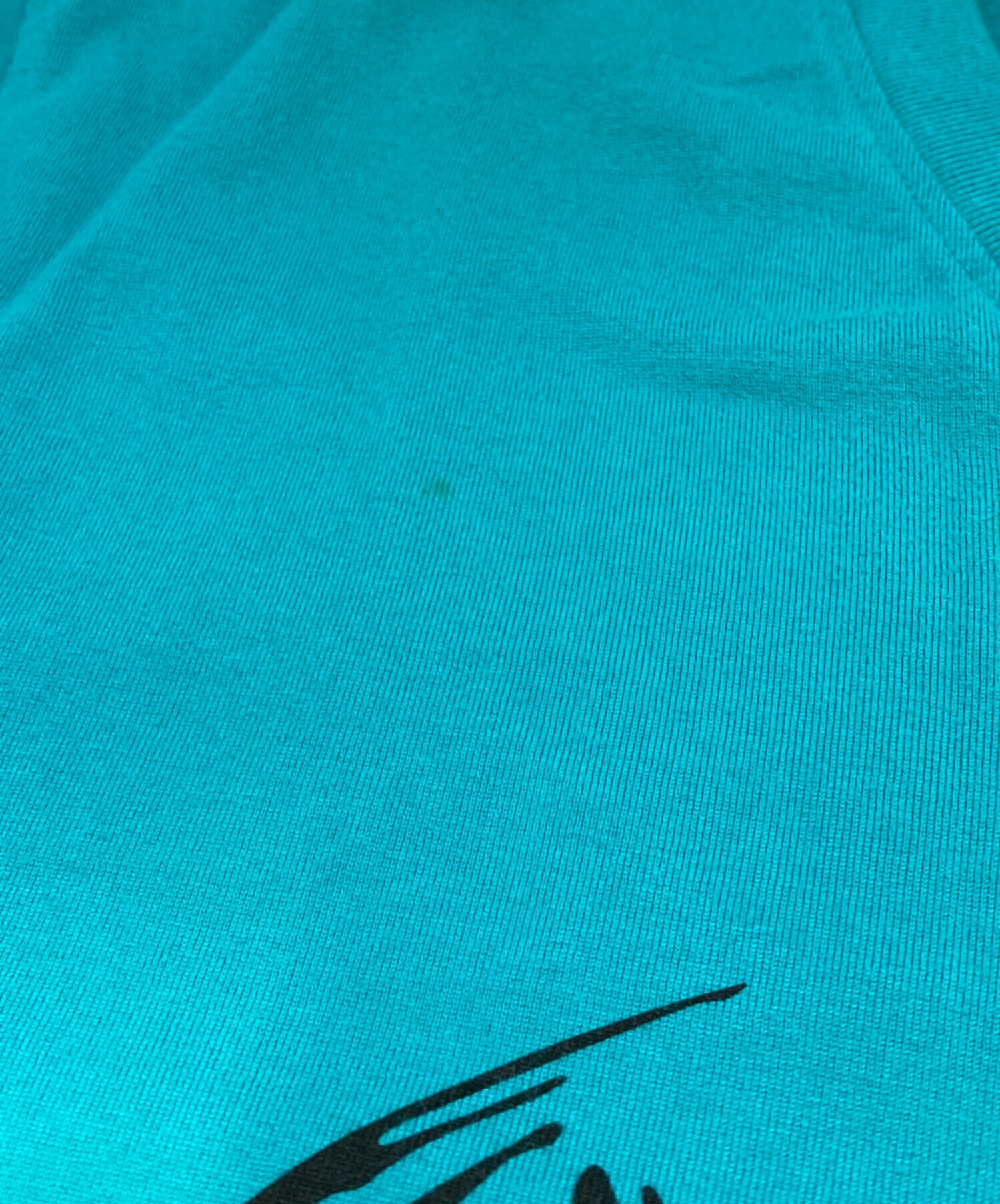 希少✨Hysteric Glamour ターコイズ 半袖Tシャツ 中古・古着通販】Hysteric Glamour (ヒステリックグラマー) プリントT