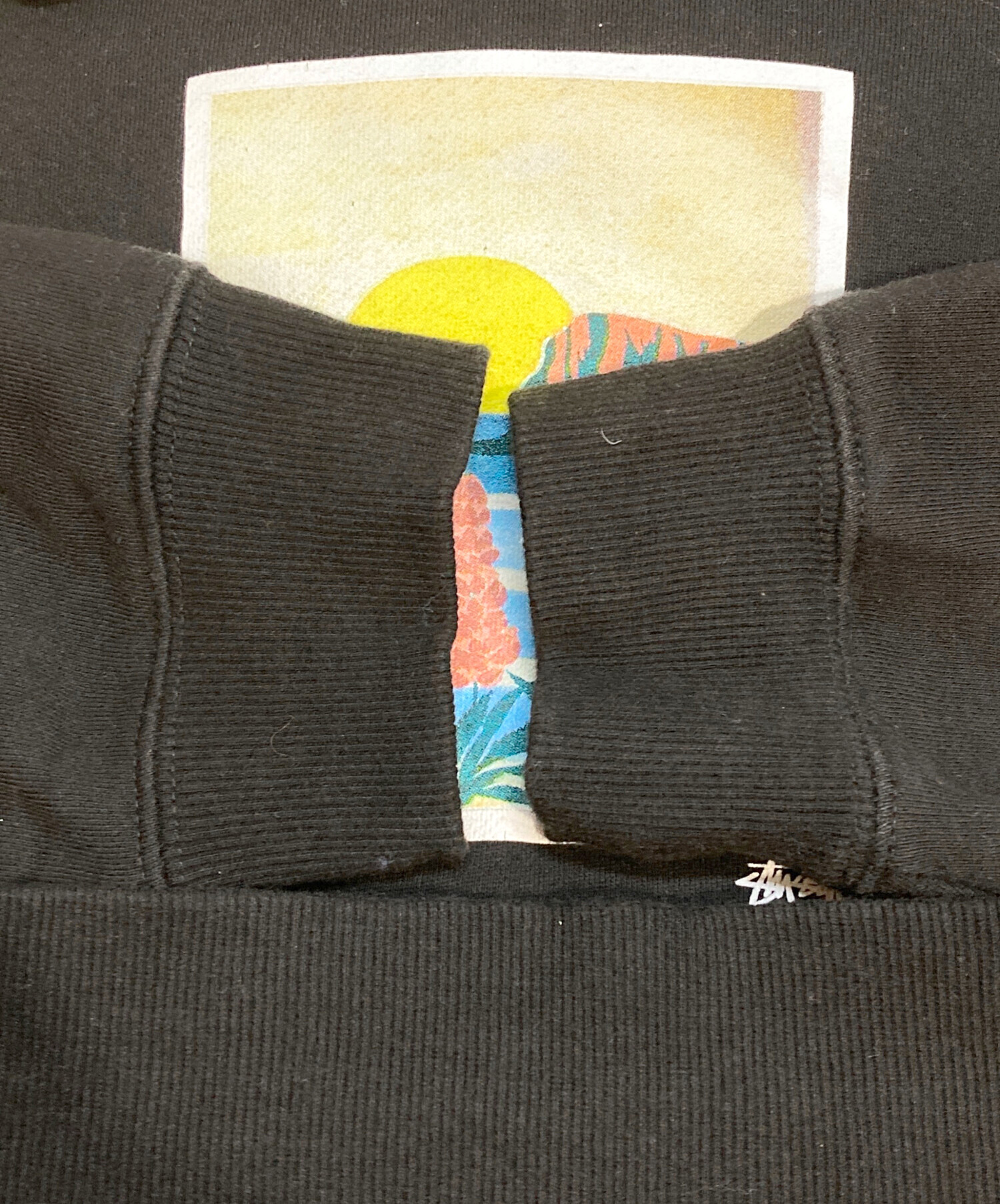 中古・古着通販】stussy (ステューシー) Coastal Hood Photo Fleece
