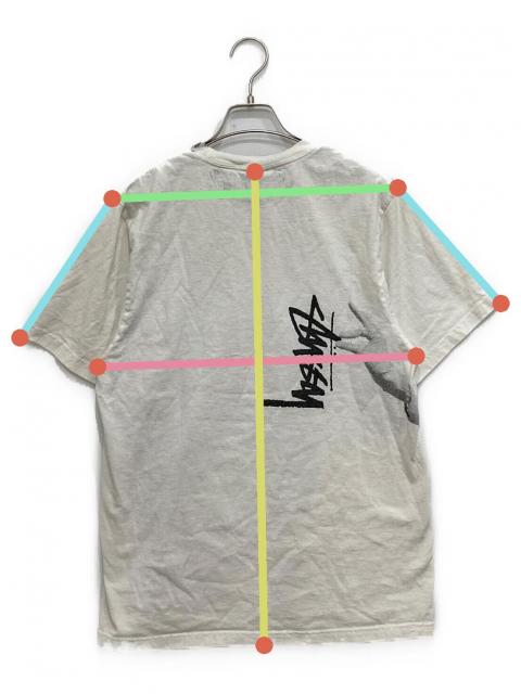 中古・古着通販】stussy (ステューシー) LADY PARIS PIG．DYED TEE