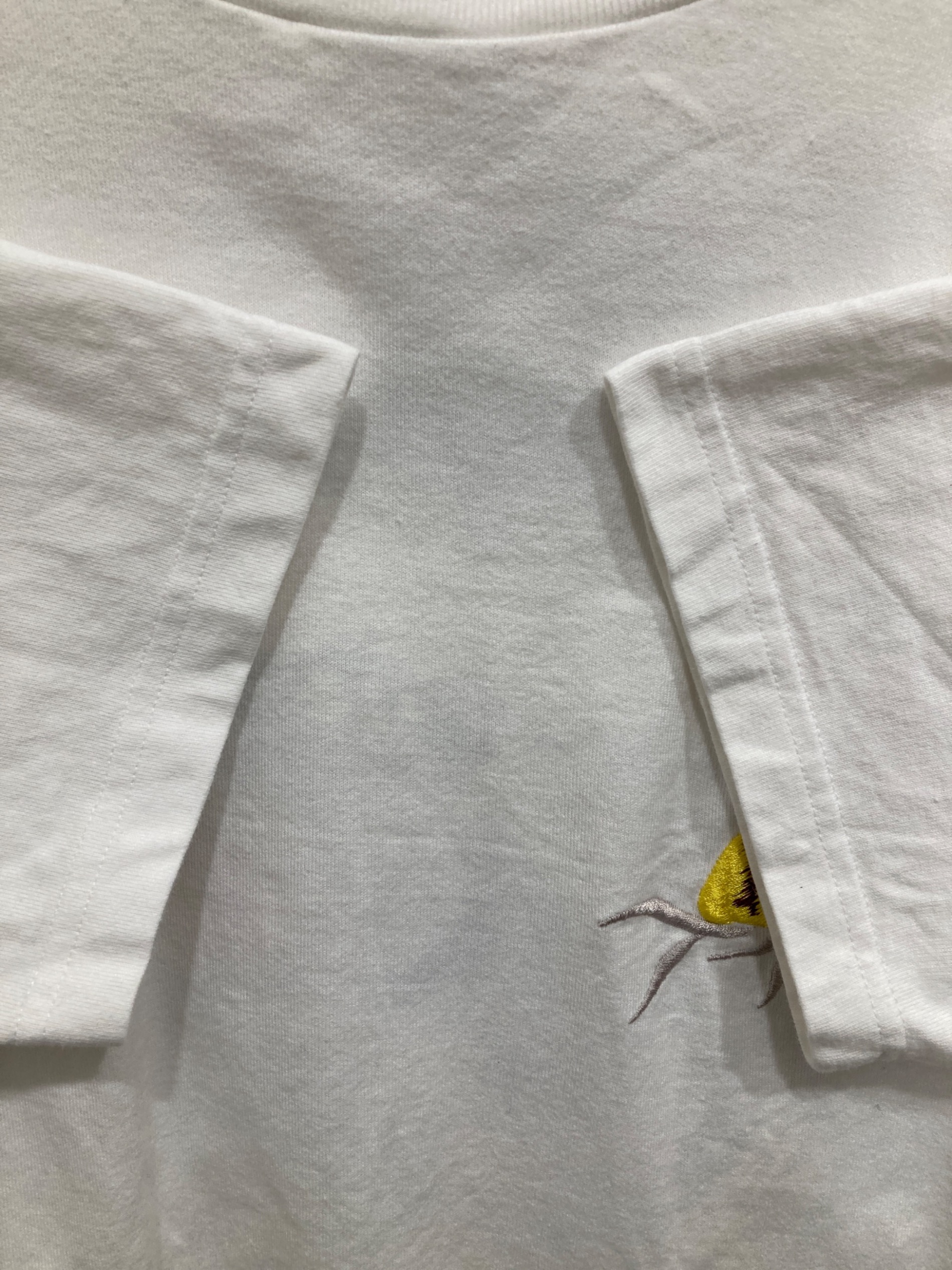 中古・古着通販】東洋エンタープライズ (トウヨウエンタープライズ) 虎