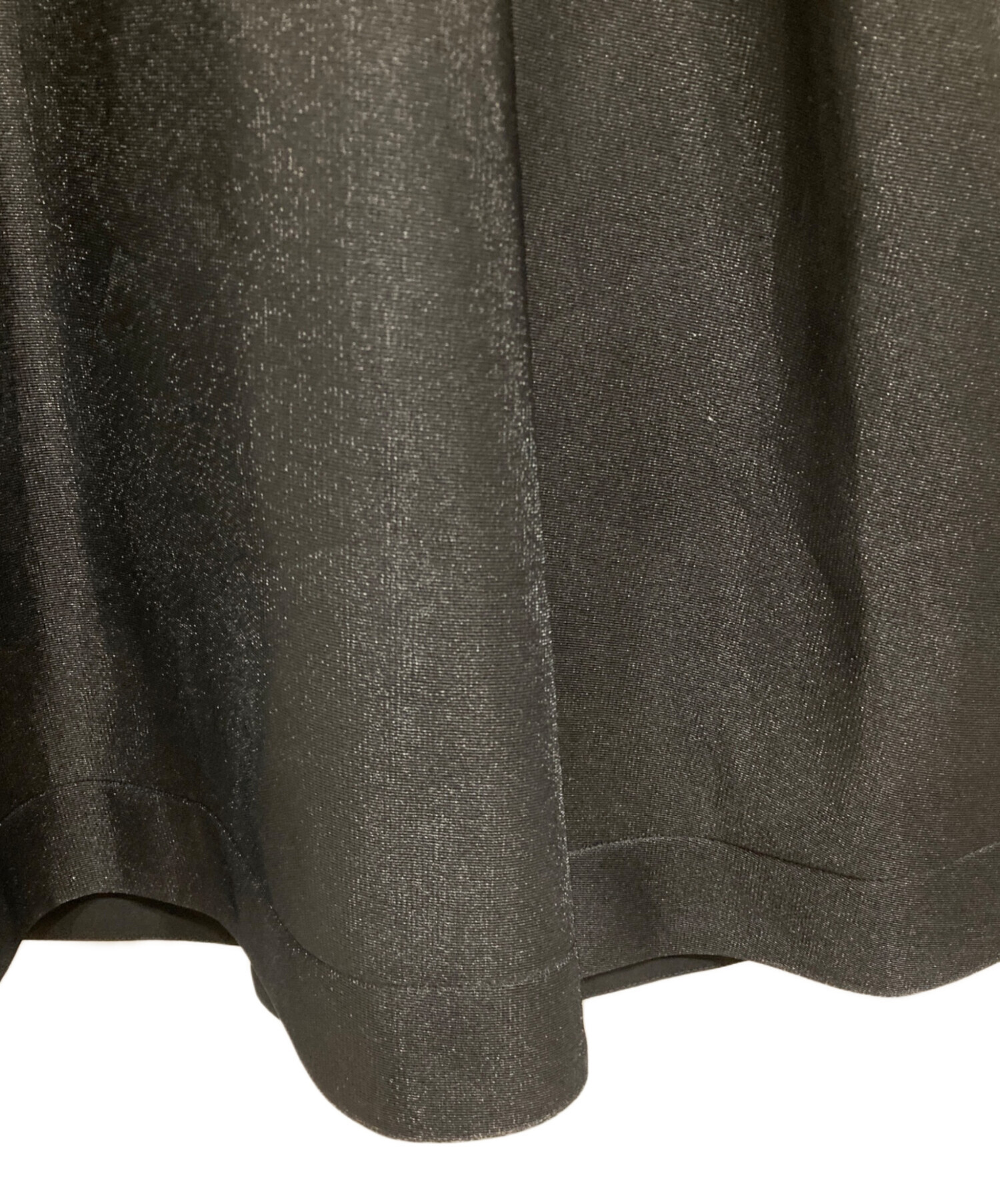 中古・古着通販】cygne (シーニュ) シースルースカート Severine