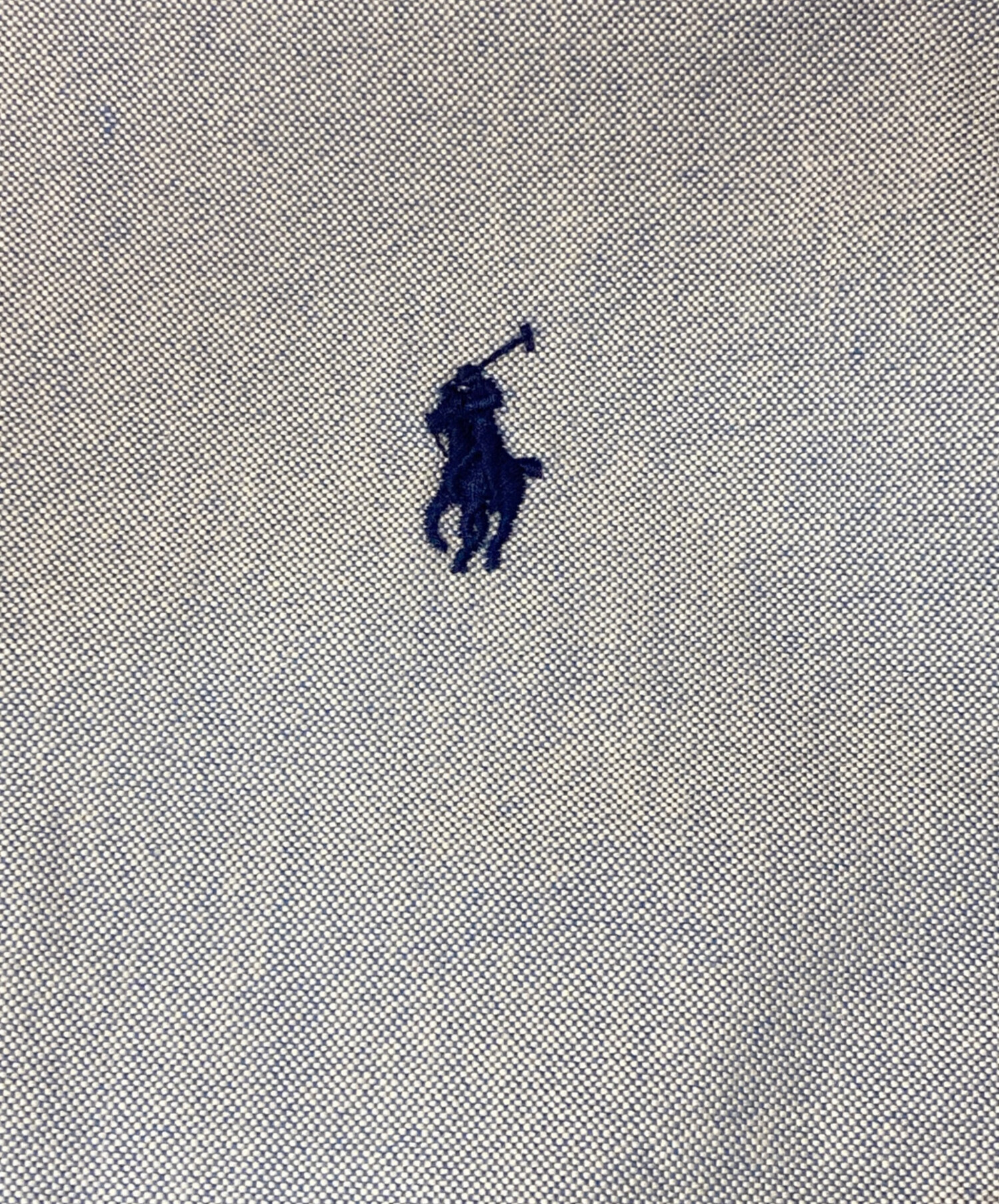 中古・古着通販】POLO RALPH LAUREN (ポロ・ラルフローレン) THE BIG
