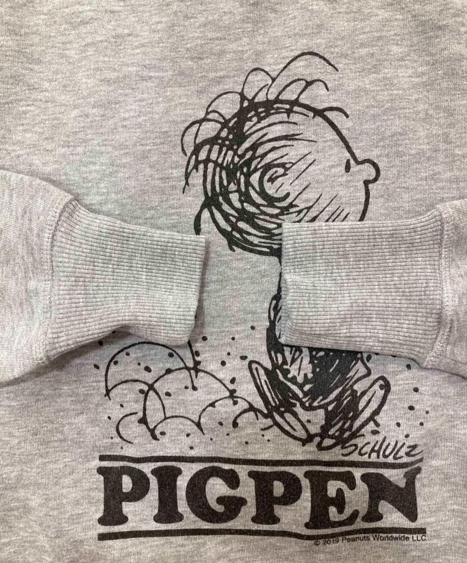 中古・古着通販】TSPTR (ティーエスピーティーアール) PIGPEN/ピッグ