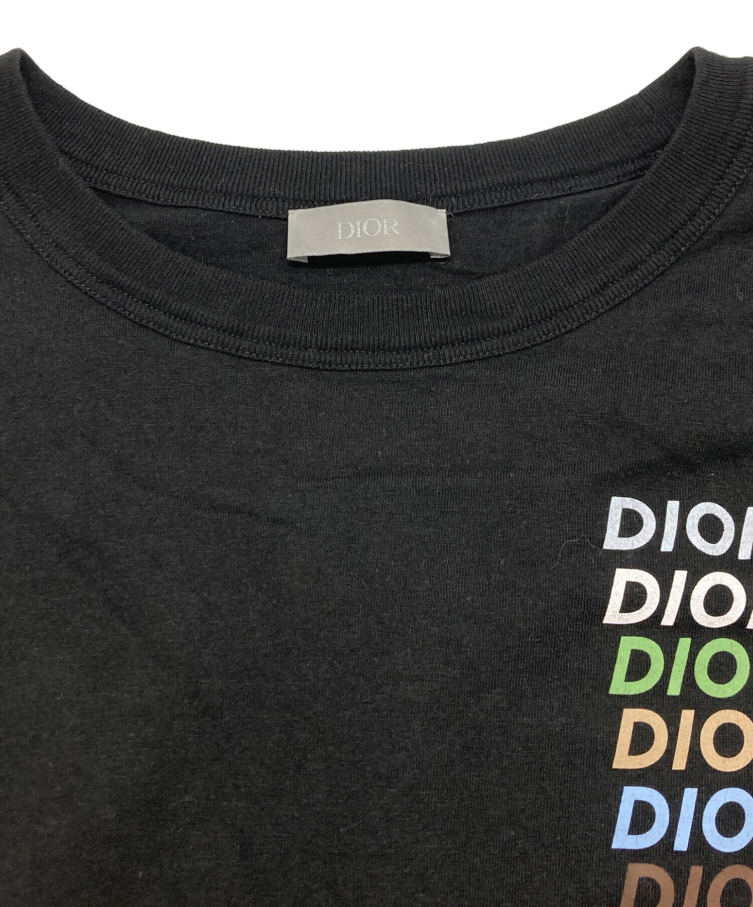 DIOR ディオールマルチカラーロゴ 長袖カットソーロンt