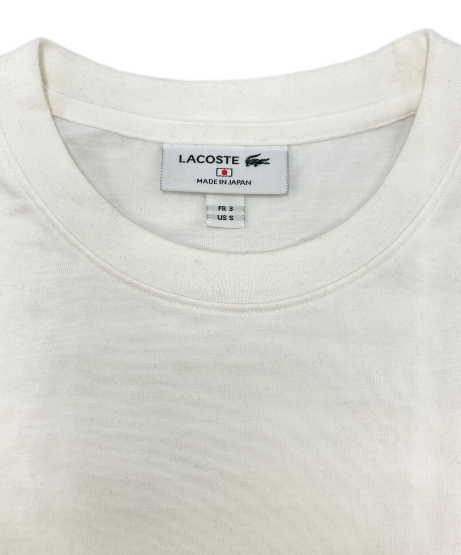 LACOSTE 3サイズ LACOSTE × ONE PIECE 扉絵バックプリント Tシャツ x 