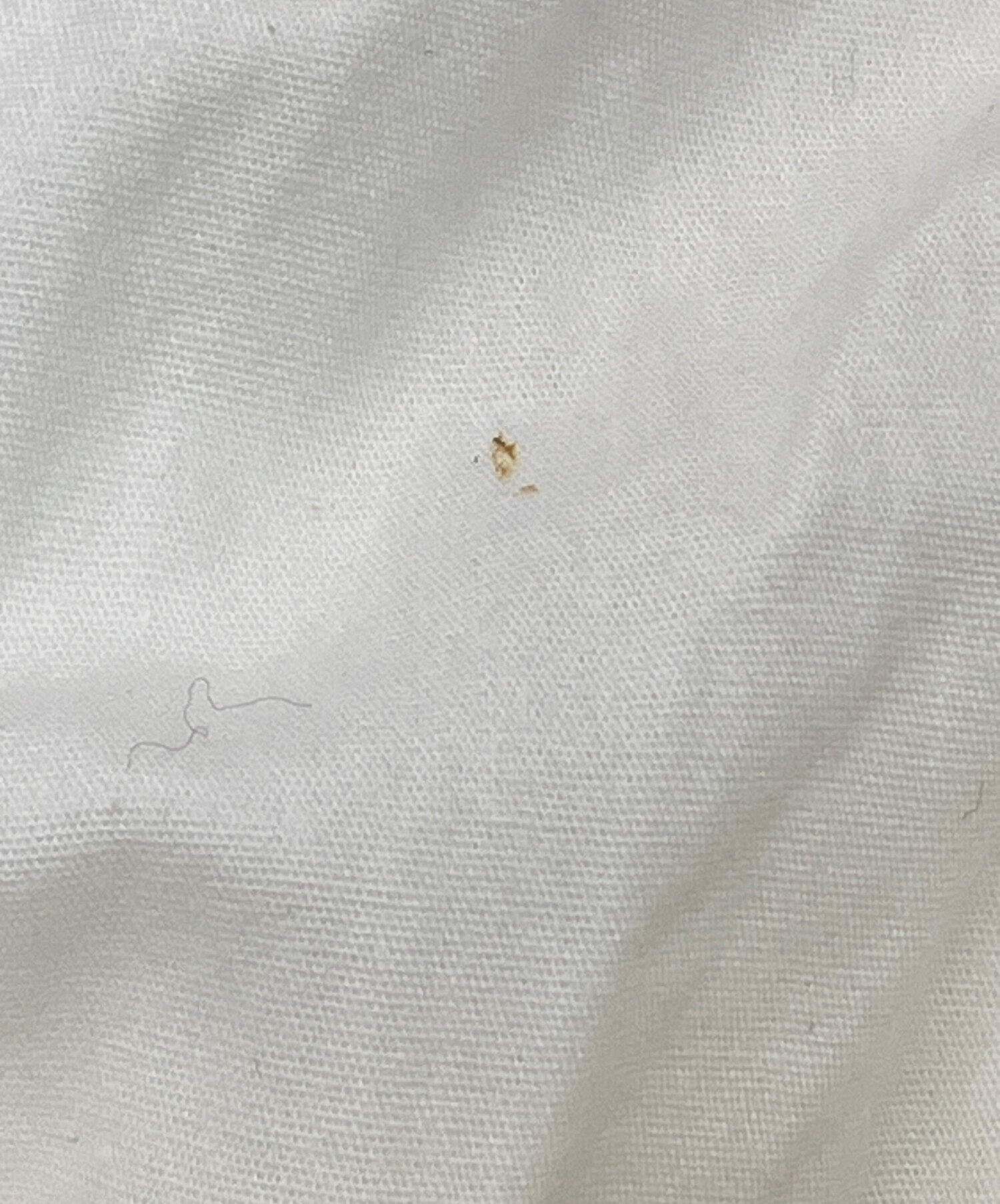 中古・古着通販】old honey (オールドハニー) 72℃ short dress 