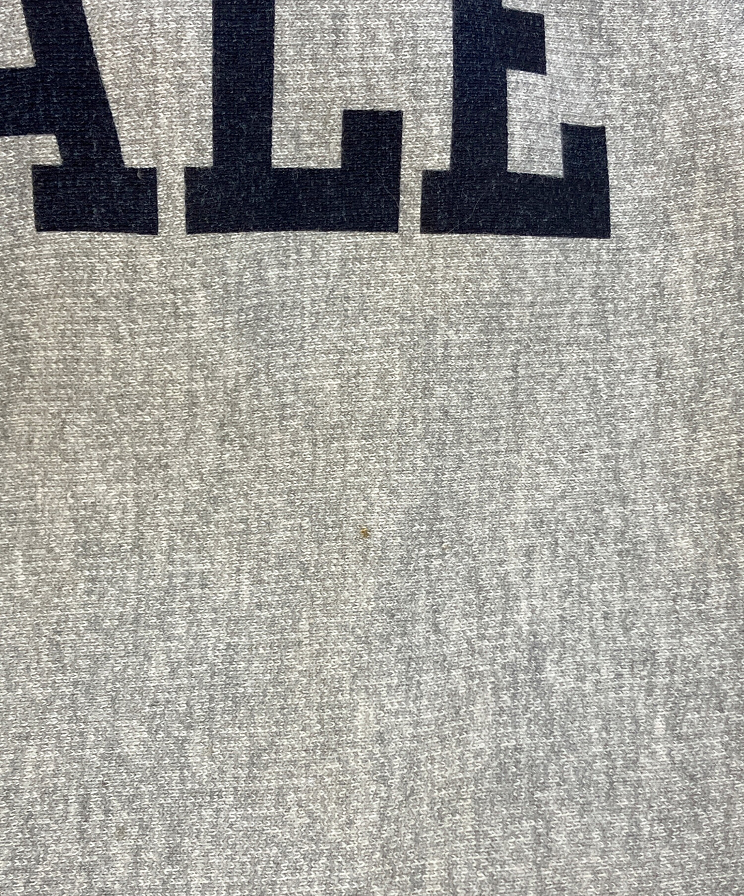 中古・古着通販】Champion REVERSE WEAVE (チャンピオン リバース