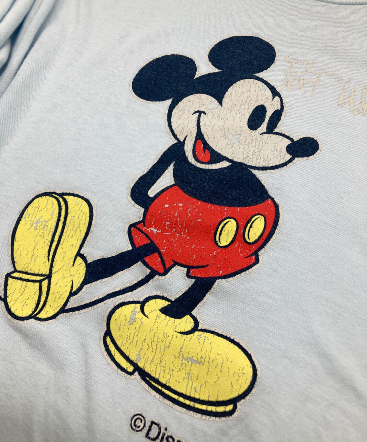 中古・古着通販】THE SHINZONE (ザ シンゾーン) MICKEY TEE ブルー