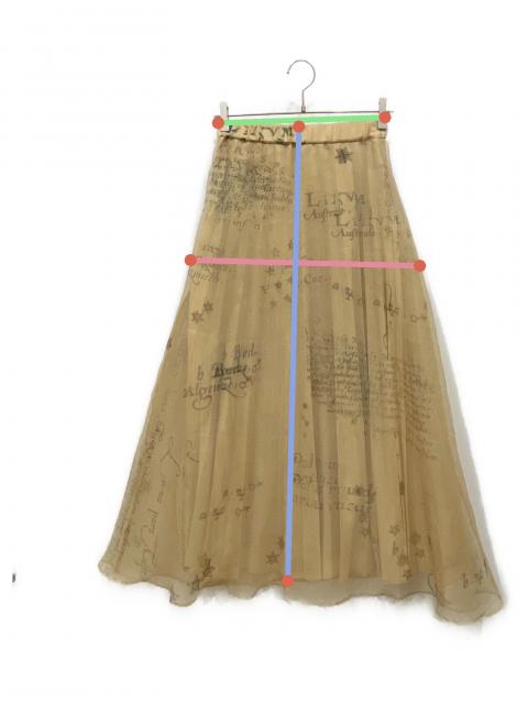 AMERI Sサイズ HOROSCOPE SHEER PLEATS SKIRT セール】HOROSCOPE SHEER PLEATS SKIRT（スカート）｜Ameri（アメリ