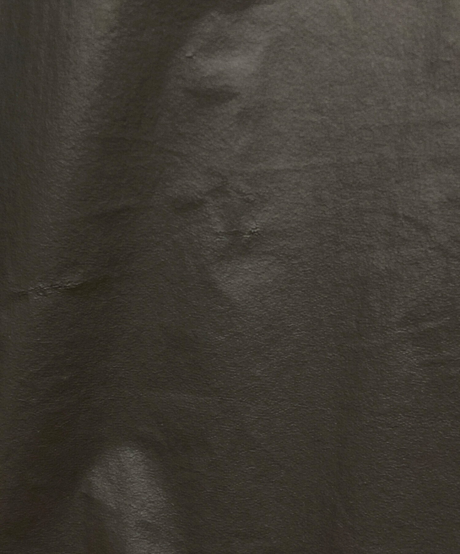 中古・古着通販】RICK OWENS (リックオウエンス) Bauhaus Coat