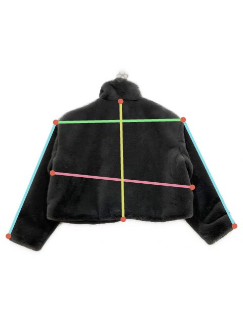 中古・古着通販】moussy (マウジー) FAUX FUR STAND COLLAR ジャケット