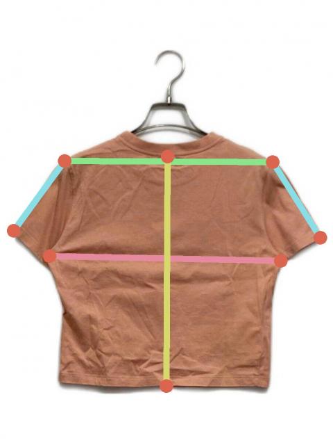 中古・古着通販】MIU MIU (ミュウミュウ) ロゴラベルTシャツ ピンク