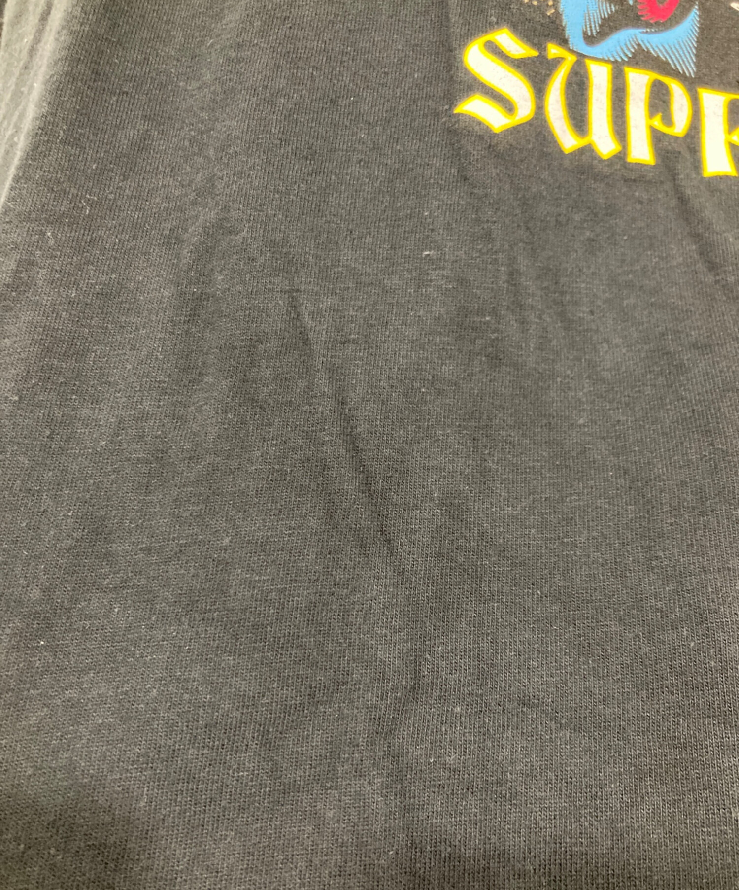 中古・古着通販】Supreme (シュプリーム) プリントTシャツ / 24AW