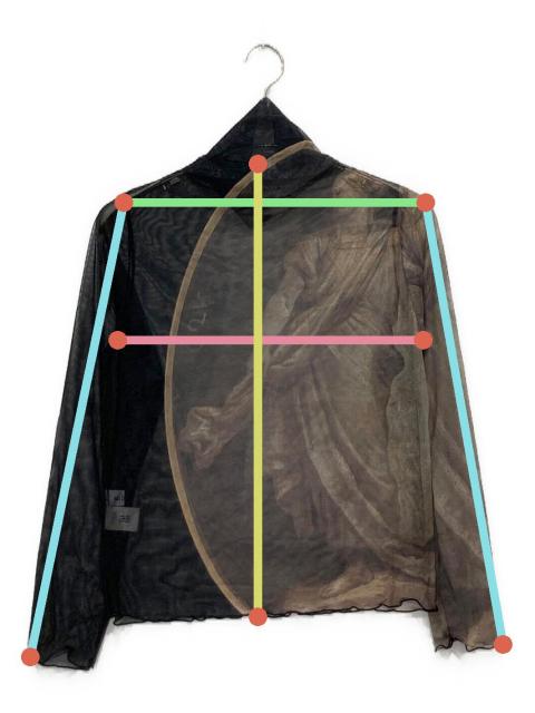 中古・古着通販】sahara (サハラ) High Neck Sheer Top ブラック