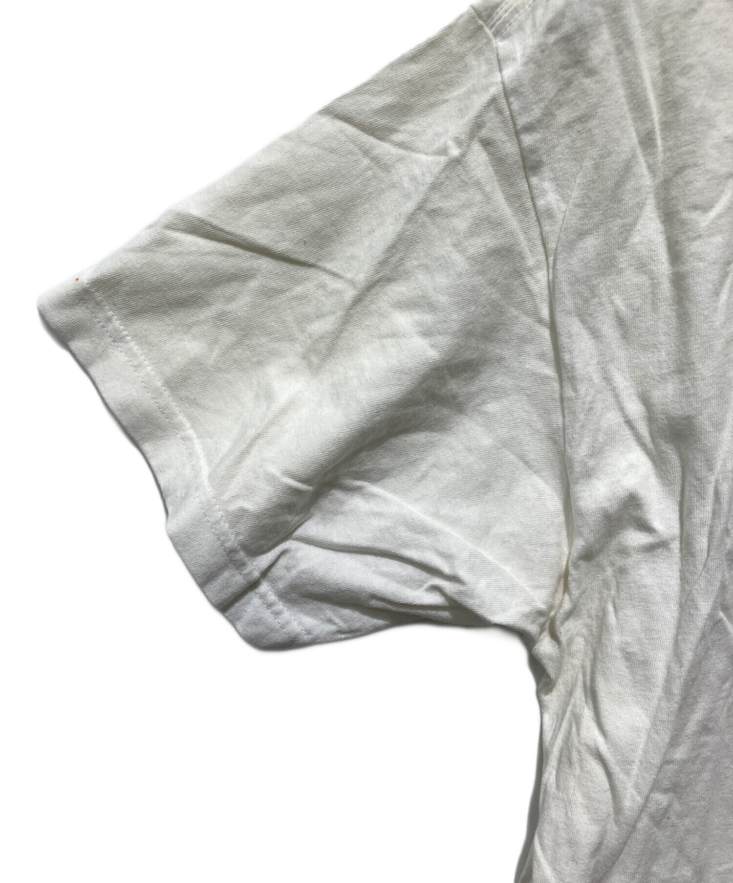 中古・古着通販】stussy (ステューシー) スケーター×SSリンクTシャツ