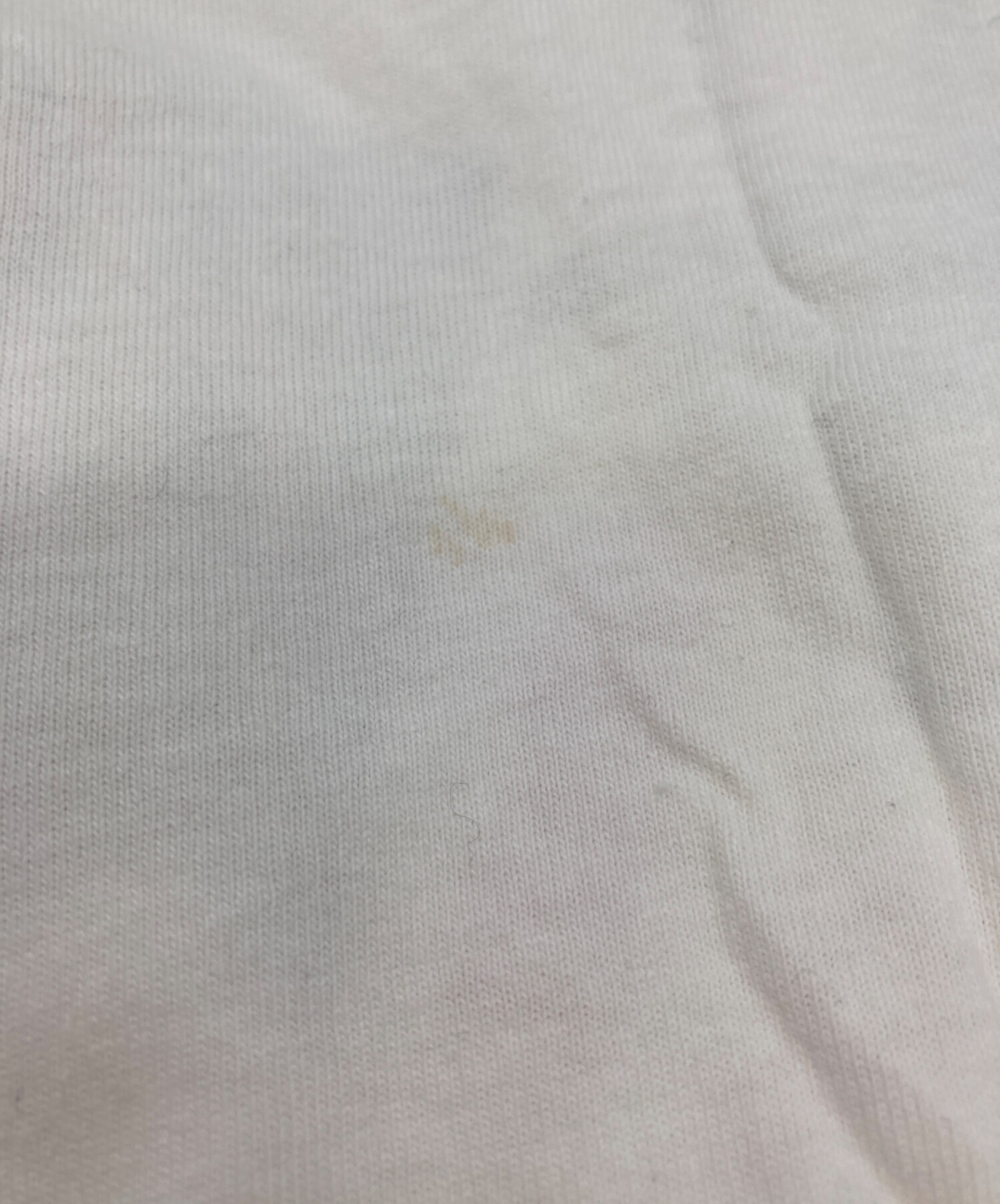 OLDStussy T REXグラフィック Tシャツ ホワイト OLDStussy T REXグラフィック Tシャツ ホワイト