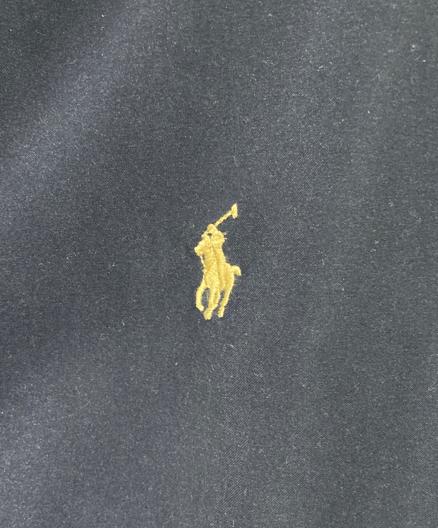 中古・古着通販】POLO RALPH LAUREN (ポロ・ラルフローレン) ポニー