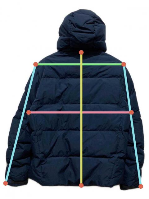 中古・古着通販】POLO RALPH LAUREN (ポロ・ラルフローレン) ビッグ
