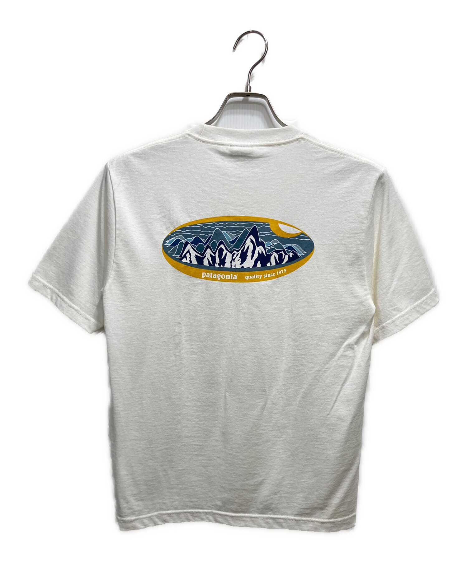 中古・古着通販】Patagonia Beneficial T's (パタゴニア ベネ