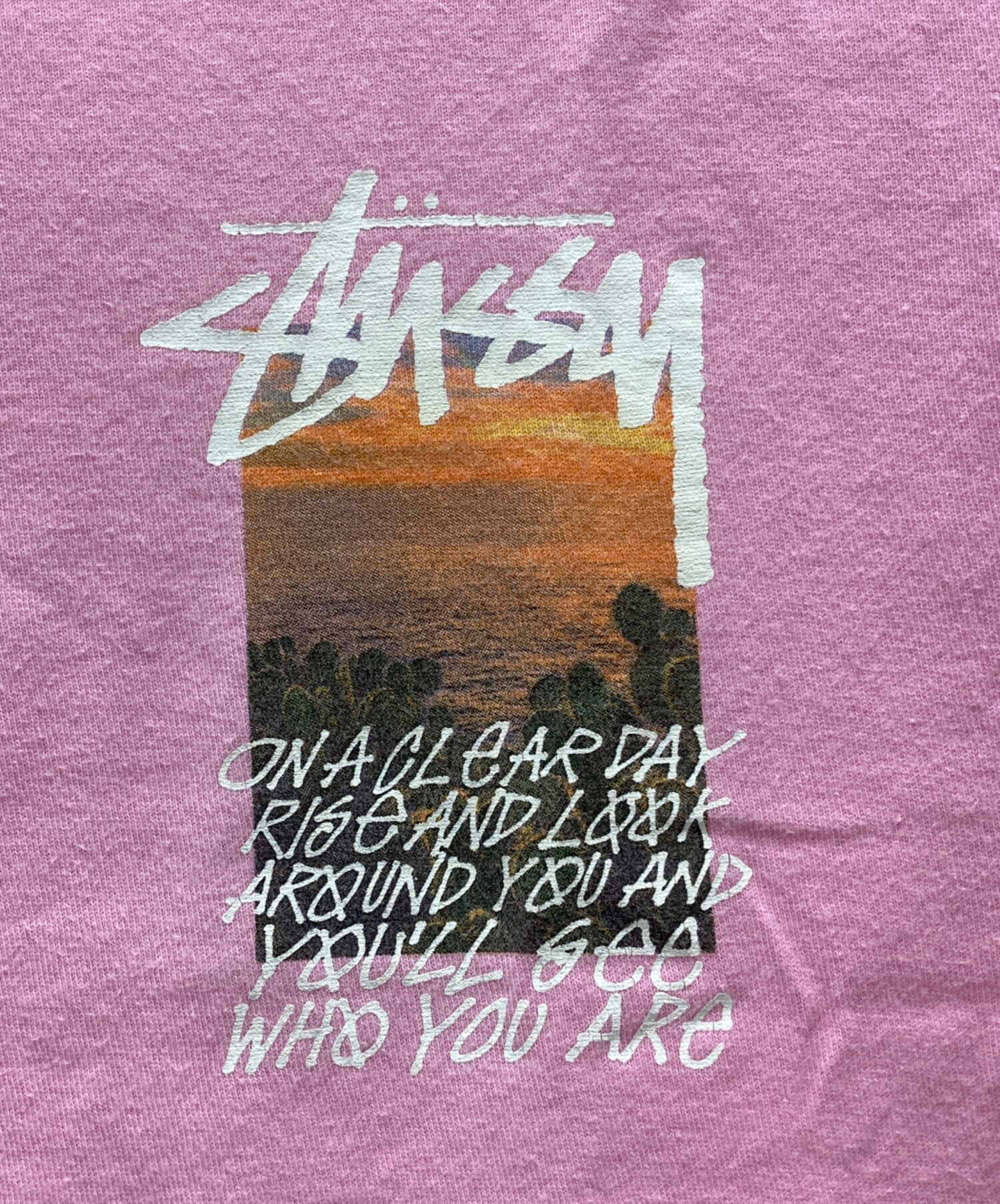 Stussy グラフィックトレーナー カリフォルニア Cali Grown Tee 