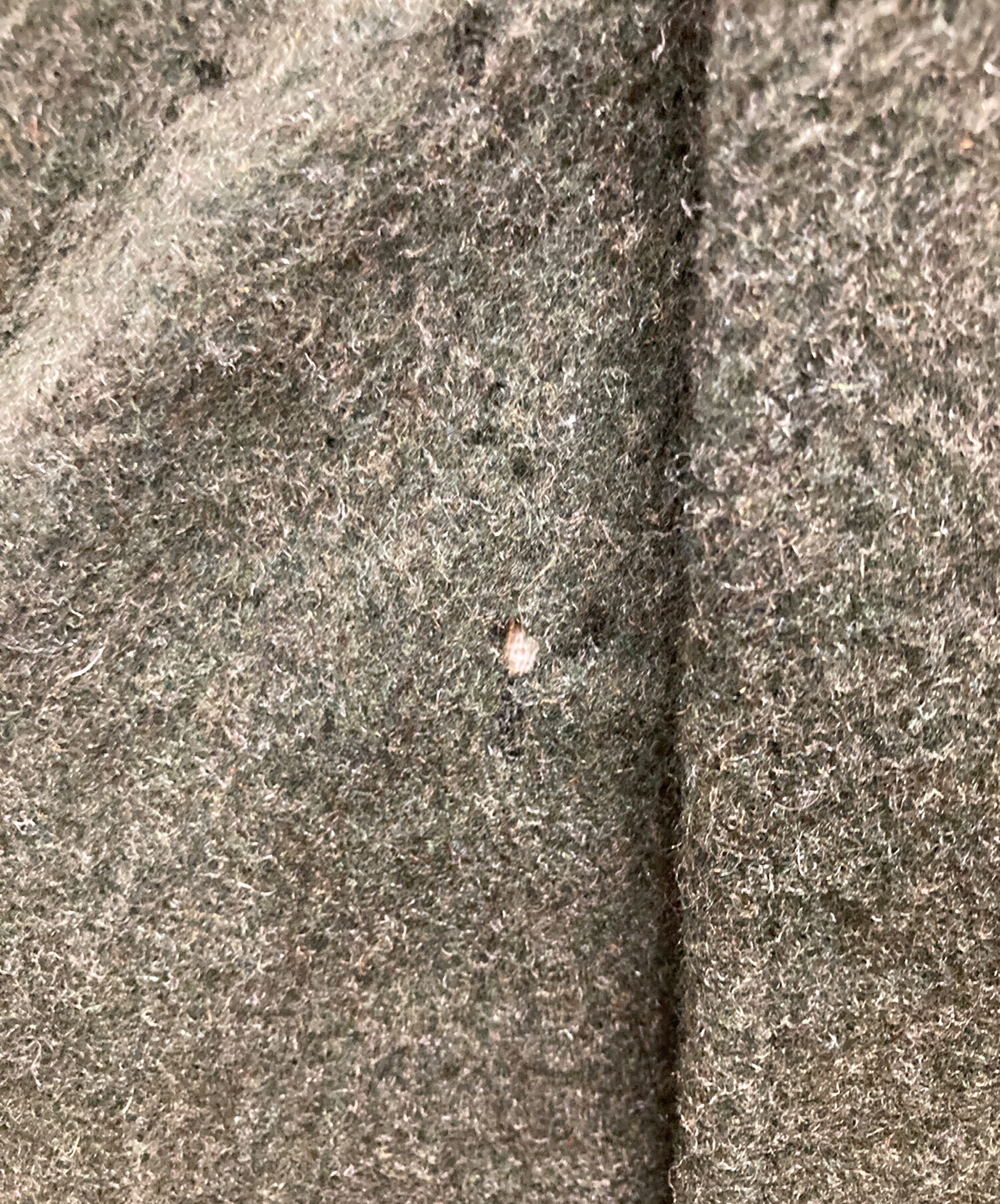 中古・古着通販】steinbock (スタインボック) HIMALAYA LODEN ロング丈
