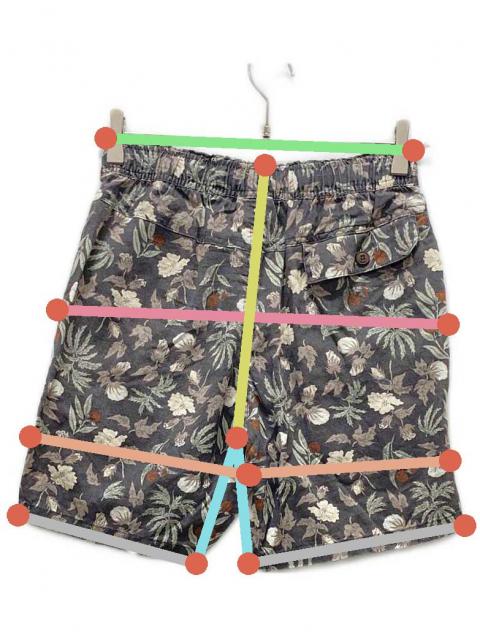 中古・古着通販】Patagonia (パタゴニア) バギーズナチュラルショーツ