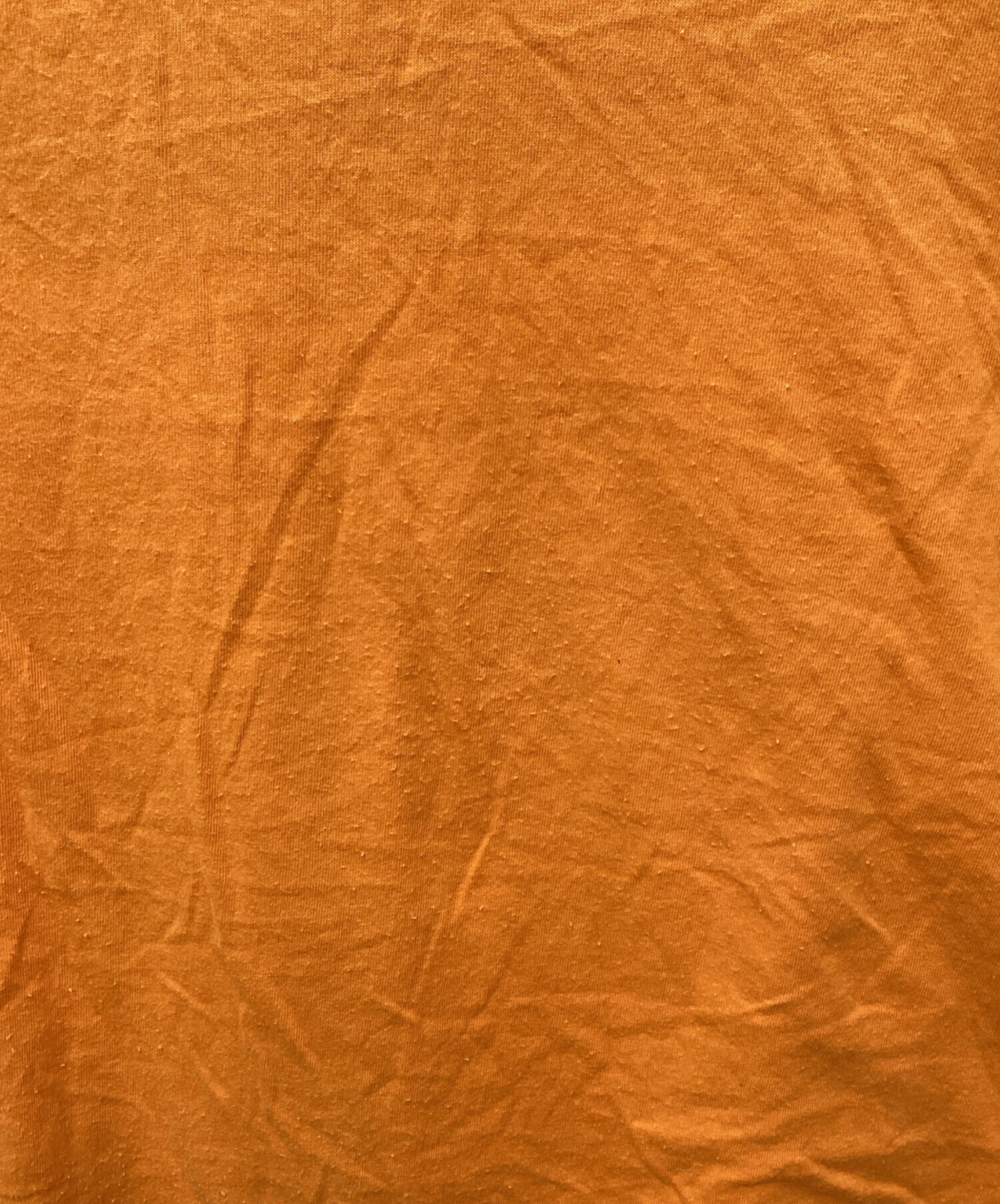 中古・古着通販】CABANE de ZUCCa (カバンドズッカ) プリントTシャツ 