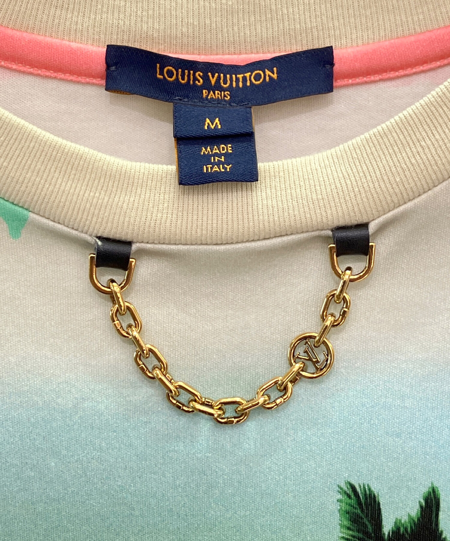 中古・古着通販】LOUIS VUITTON (ルイ ヴィトン) エピプリントパーム 