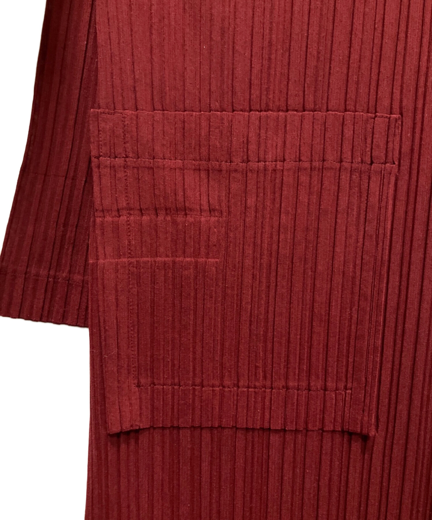 中古・古着通販】PLEATS PLEASE (プリーツプリーズ) RAMIE PLEATS