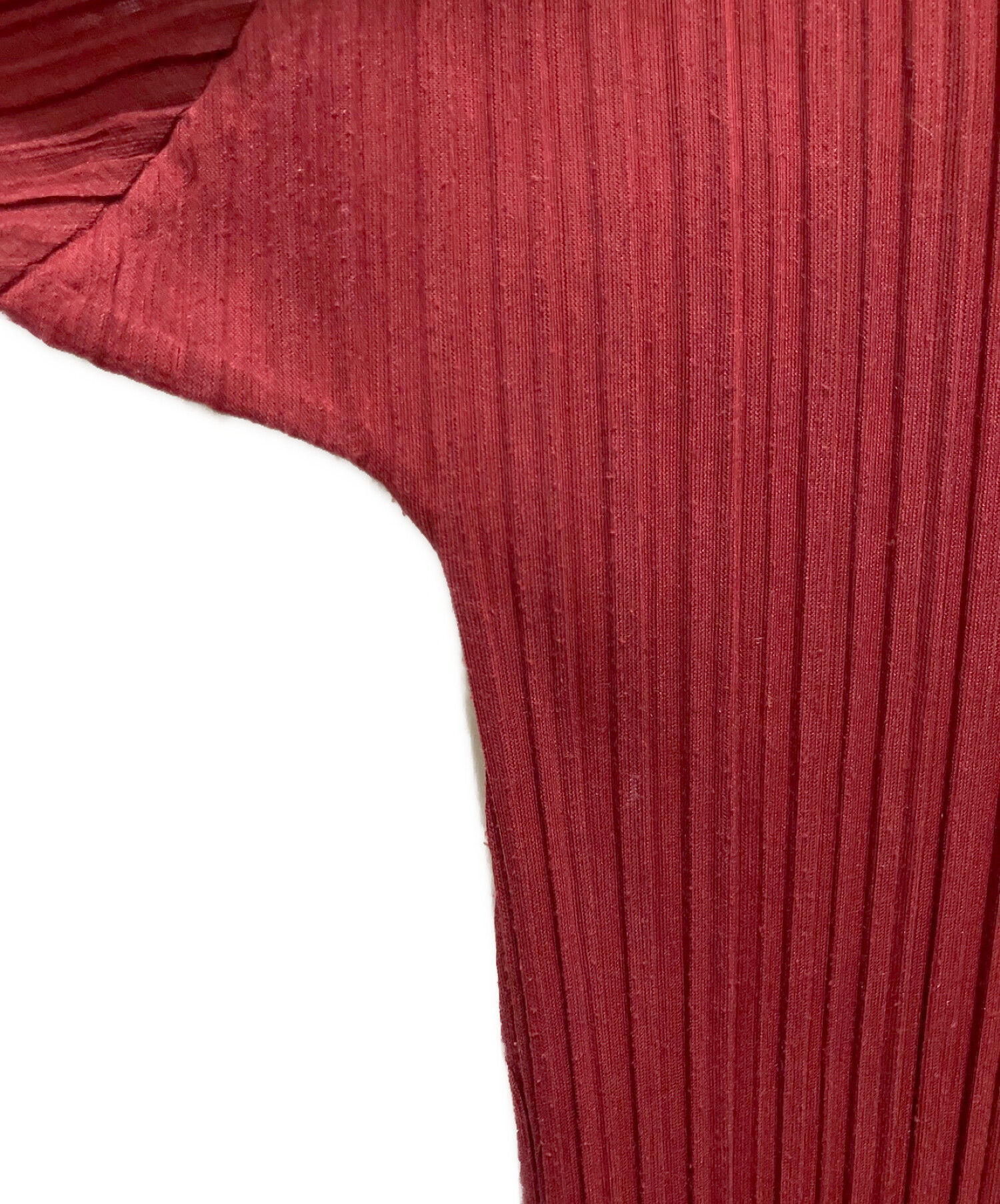 中古・古着通販】PLEATS PLEASE (プリーツプリーズ) RAMIE PLEATS