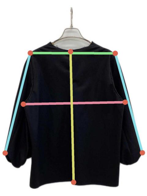 Plage　WO Bias Volume Sleeves ブラウス plage（プラージュ）の「WO Bias Volume Sleeves ブラウス（シャツ