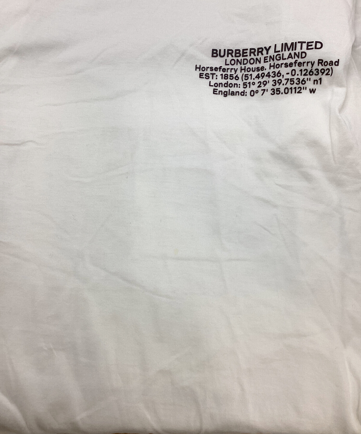 中古・古着通販】BURBERRY (バーバリー) ロゴ ロケーションプリント 