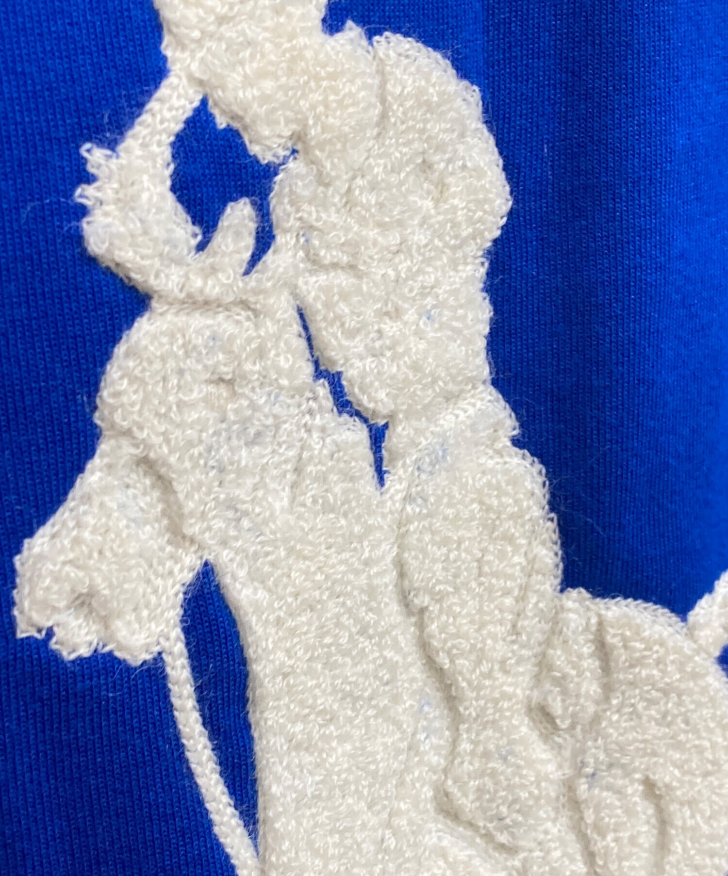 中古・古着通販】POLO RALPH LAUREN (ポロ・ラルフローレン) ビック