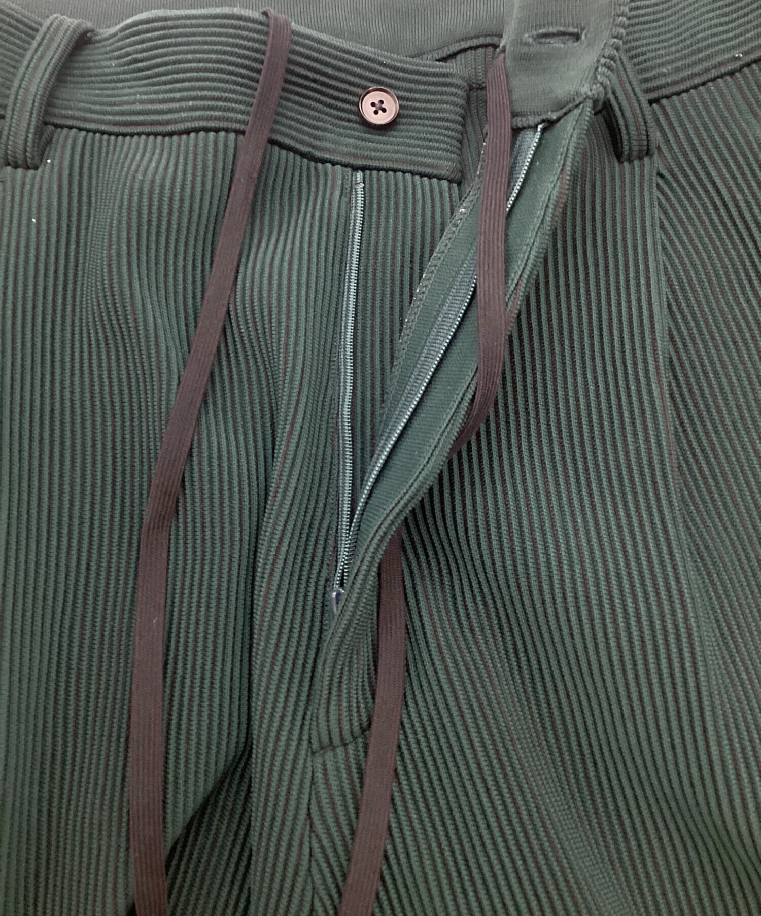 中古・古着通販】stein (シュタイン) GRADATION PLEATS TWO TUCK 