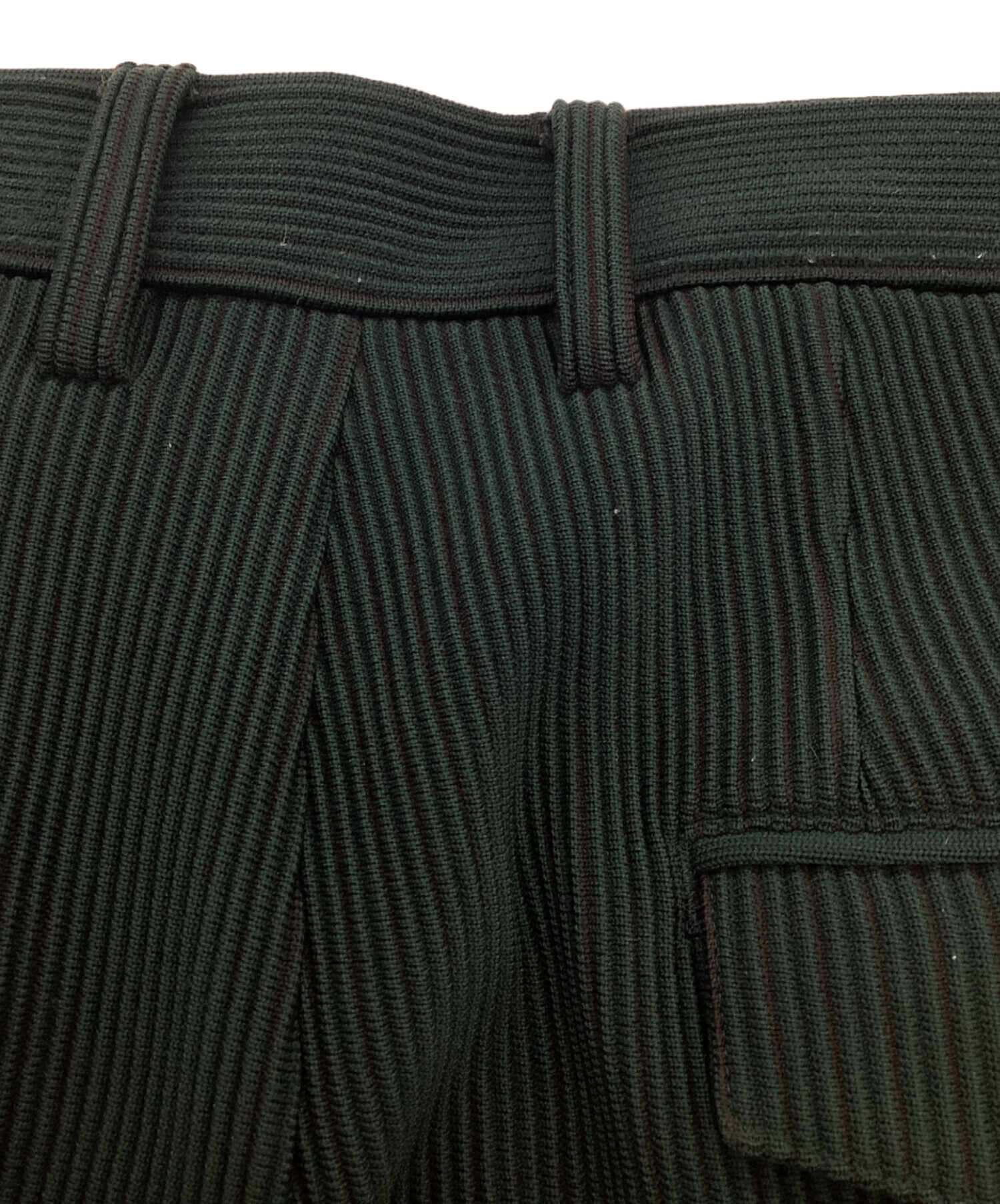 中古・古着通販】stein (シュタイン) GRADATION PLEATS TWO TUCK 