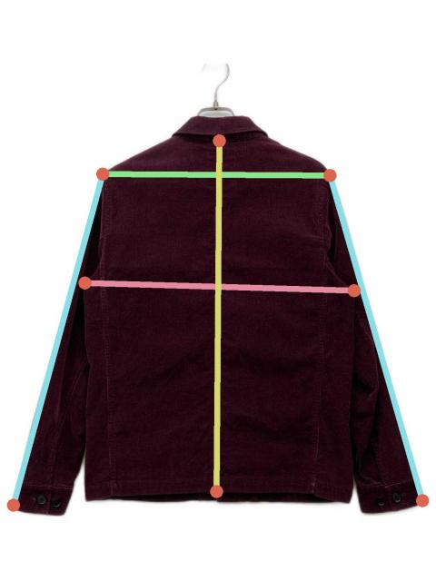中古・古着通販】stussy DELUXE (ステューシー デラックス