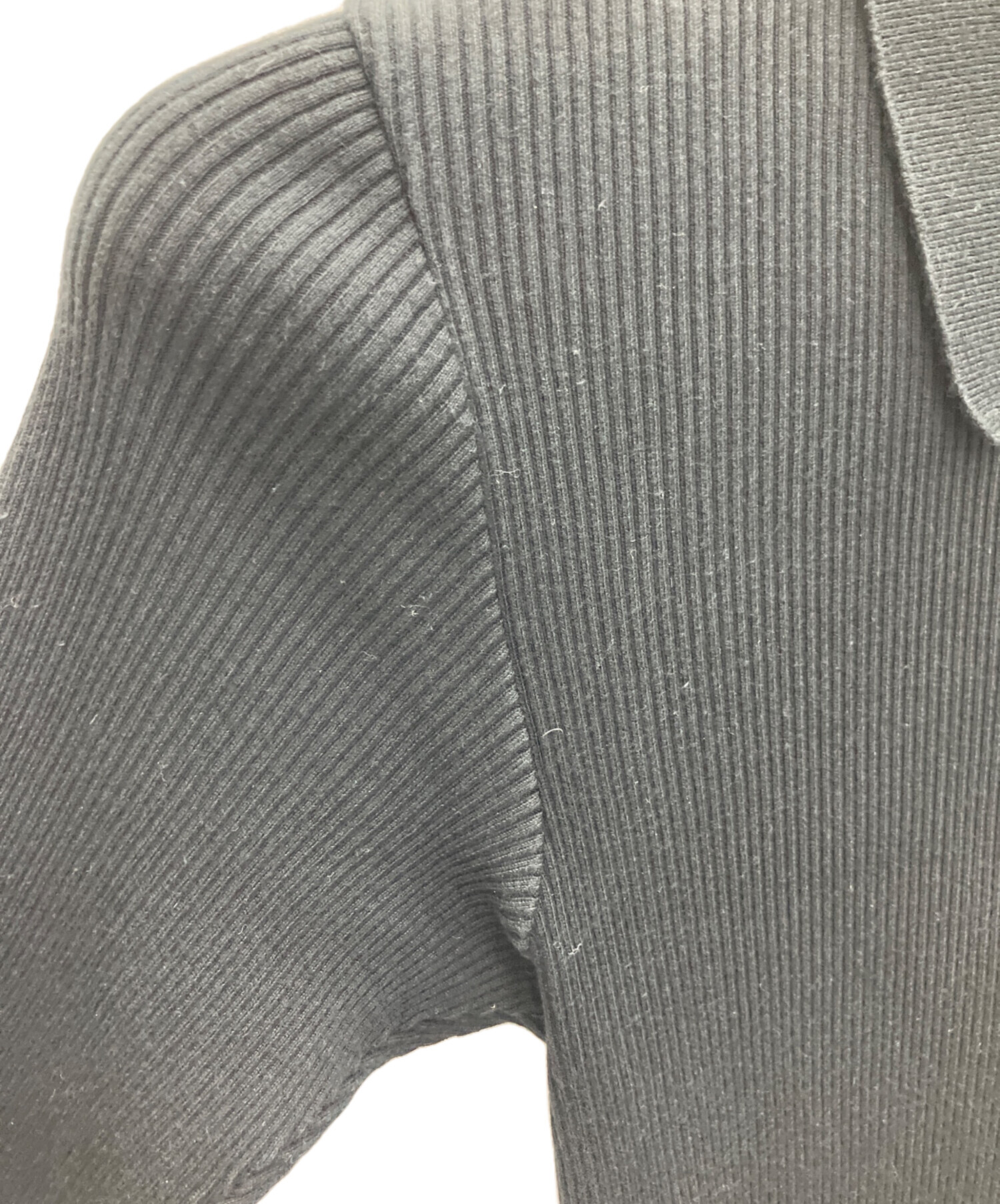 中古・古着通販】AURALEE (オーラリー) GIZA HIGH GAUGE RIB KNIT POLO