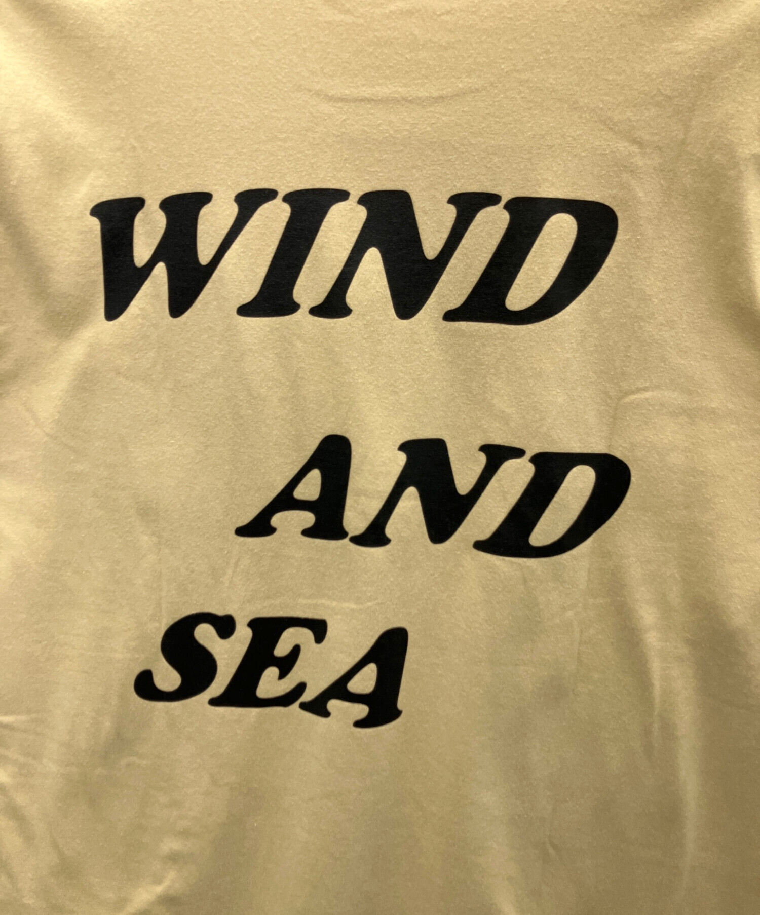 中古・古着通販】WIND AND SEA (ウィンダンシー) DISNEY (ディズニー