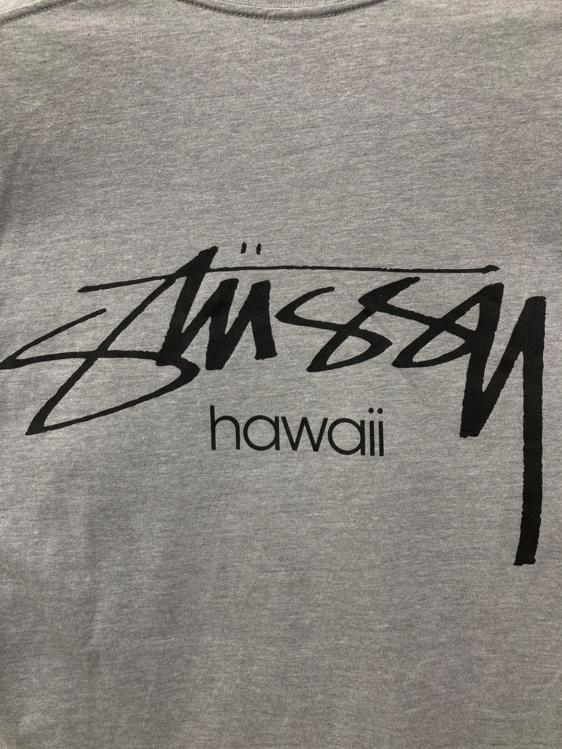 Stussy Hawaii Tシャツ グレー 半袖 | APPS-BICENTENARIO-PRD-01