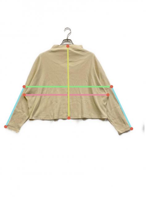 中古・古着通販】kaze no sumika (カゼノスミカ) リブカットソー