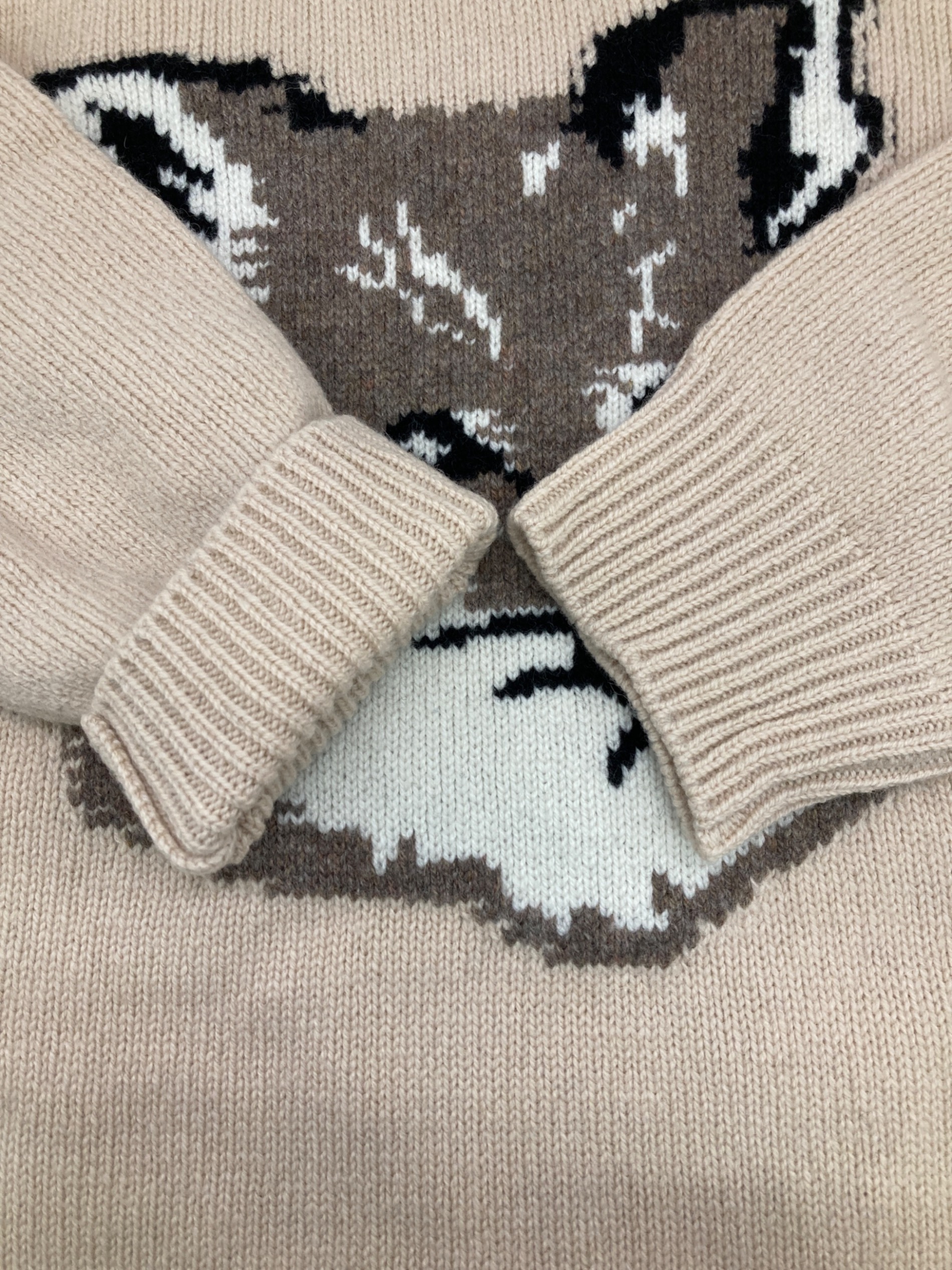 中古・古着通販】maison kitsune (メゾンキツネ) BIG FOX HEAD