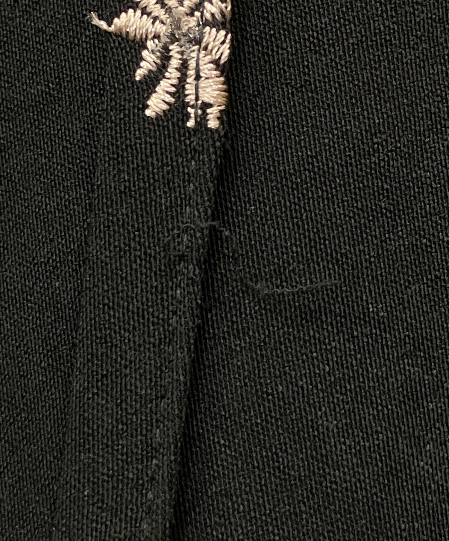 中古・古着通販】Apuweiser-riche (アプワイザーリッシェ) パフ袖刺繍