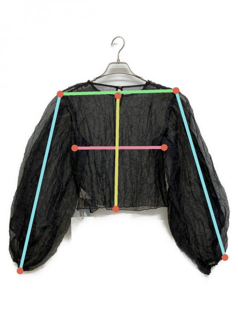 中古・古着通販】LEINWANDE (ラインヴァンド) Recycle Organdy Pleats