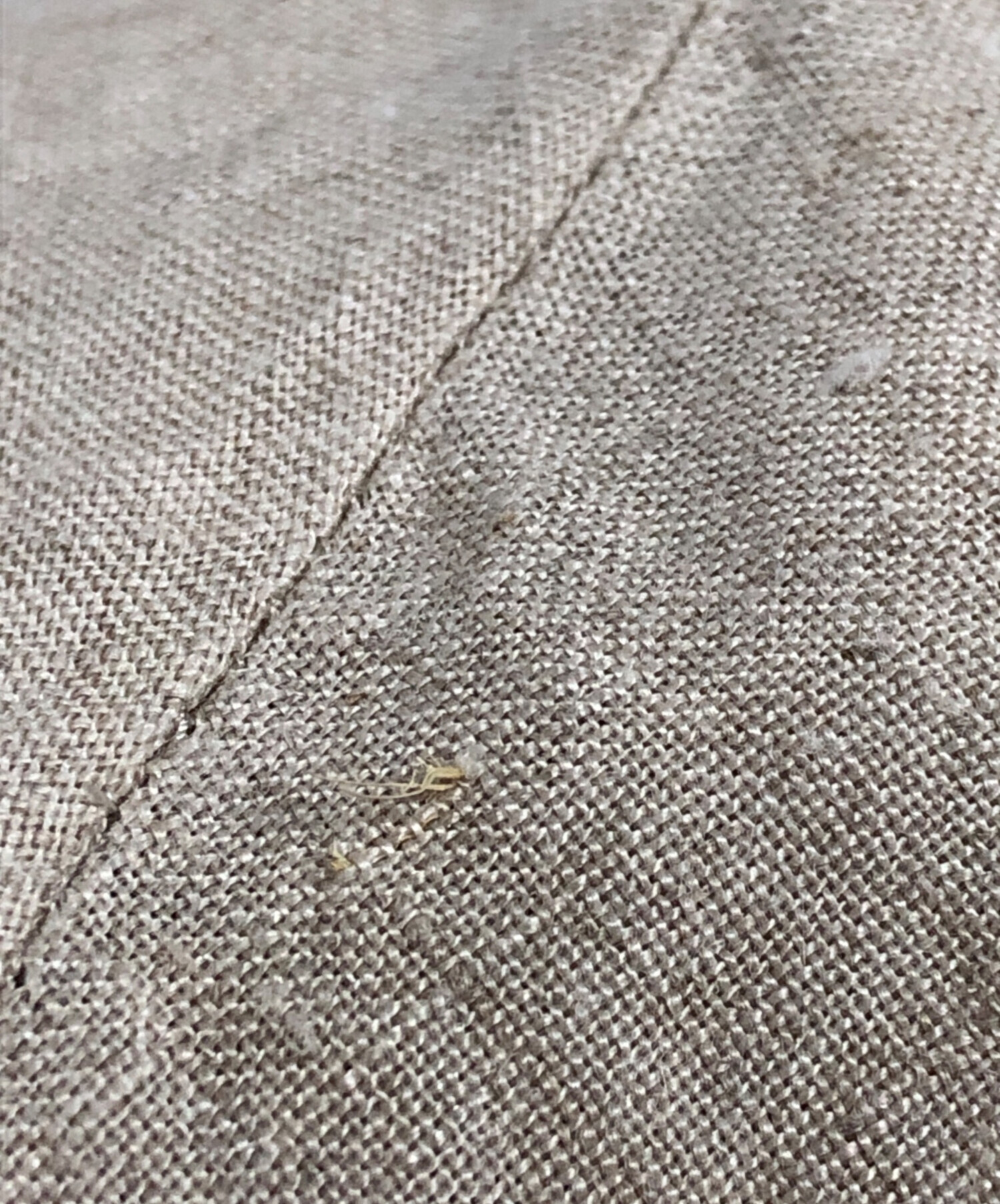 中古・古着通販】Pale Jute (ペールジュート) Chizu Kobayashi 刺繍